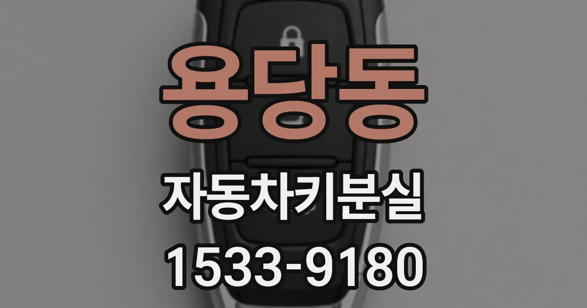 용당동 자동차키분실