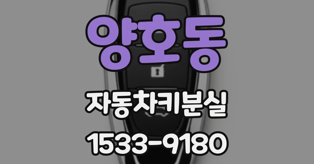 양호동 자동차키분실
