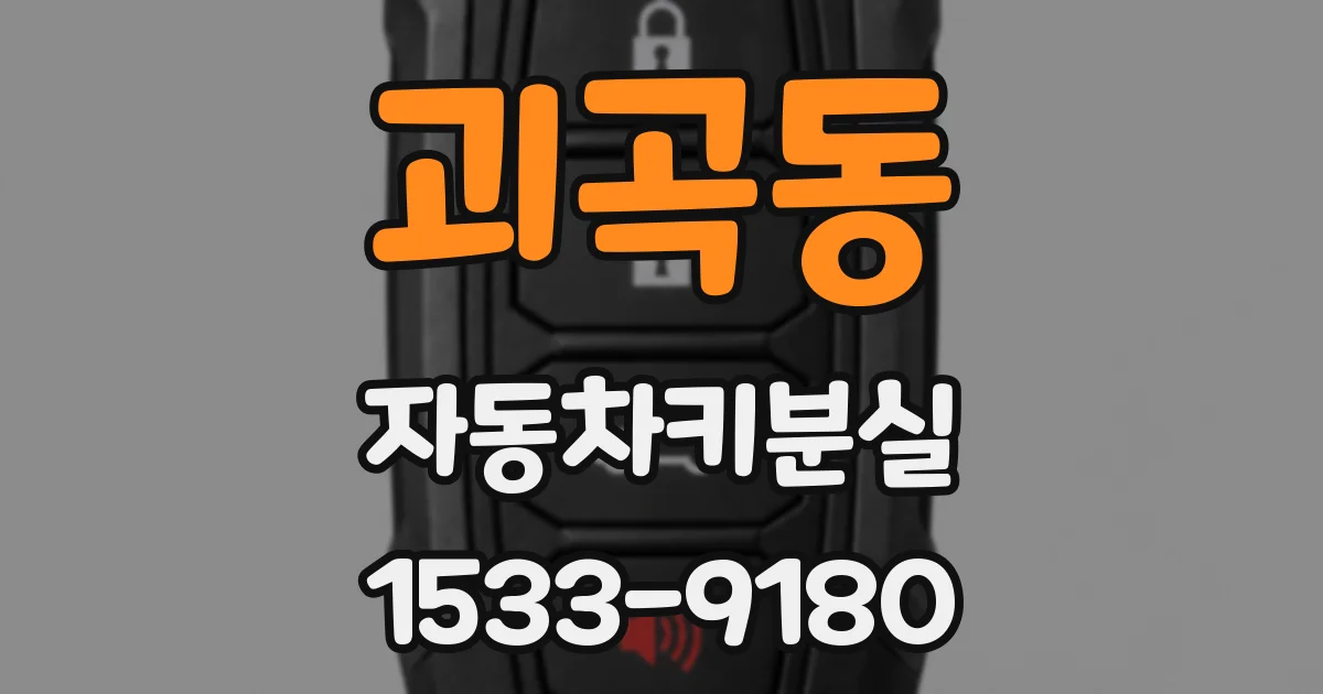 괴곡동 자동차키분실