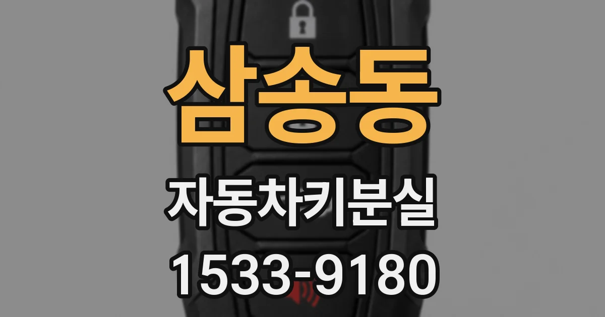 삼송동 자동차키분실