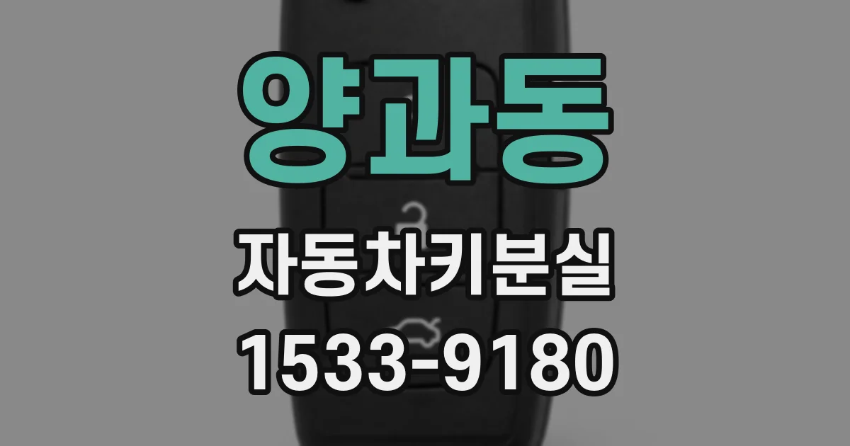 양과동 자동차키분실
