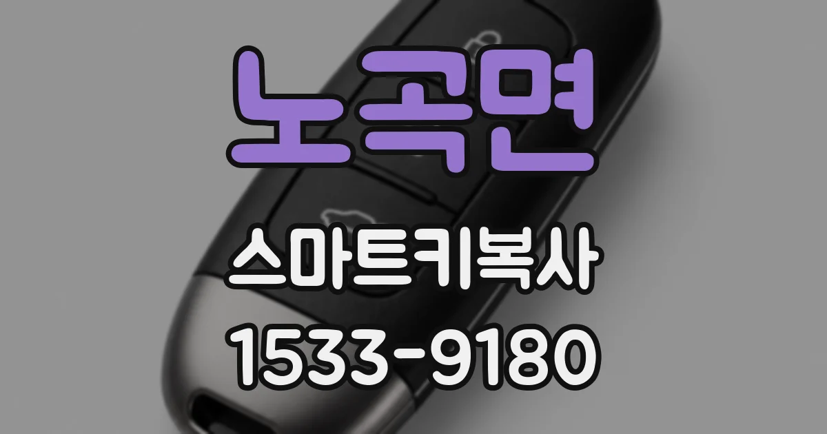노곡면 스마트키복사
