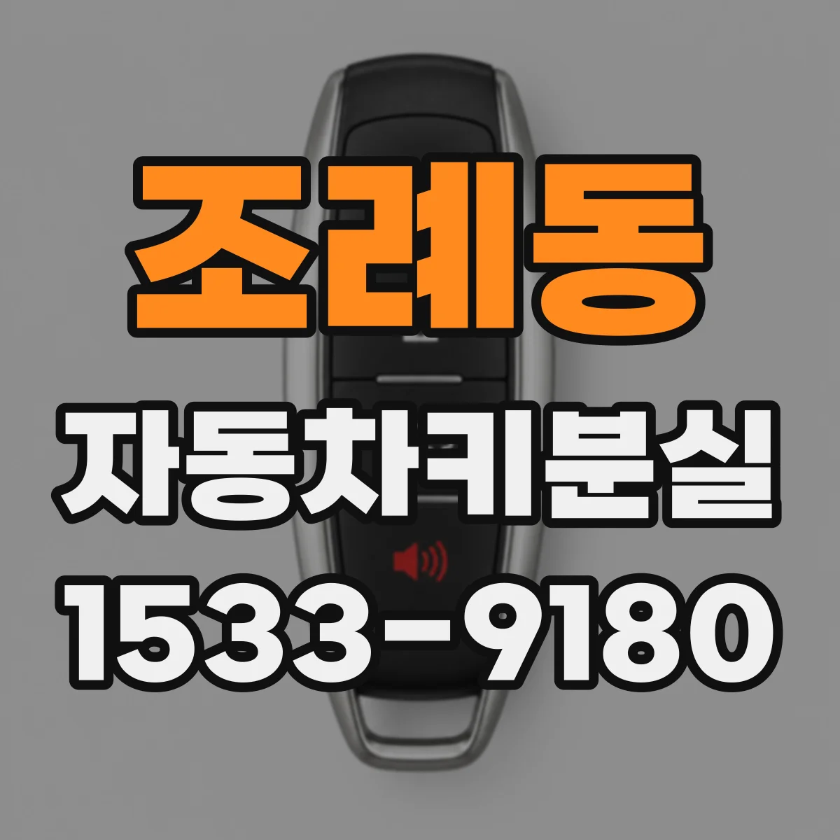 조례동 자동차키분실