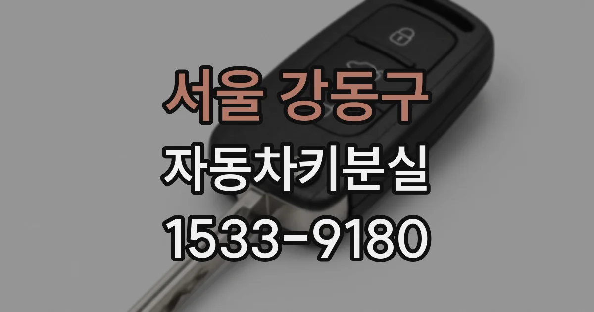 서울 강동구 자동차키분실