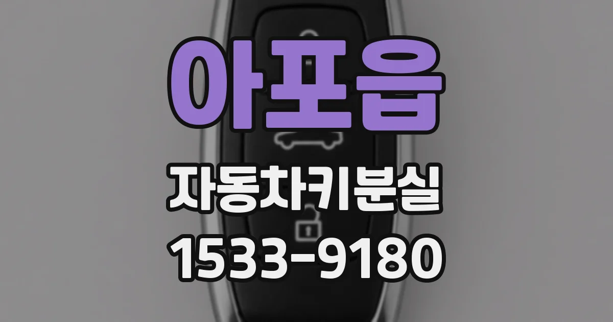 아포읍 자동차키분실