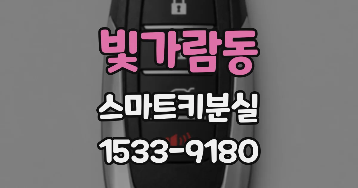 빛가람동 스마트키분실