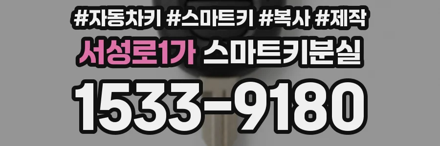 서성로1가 스마트키분실