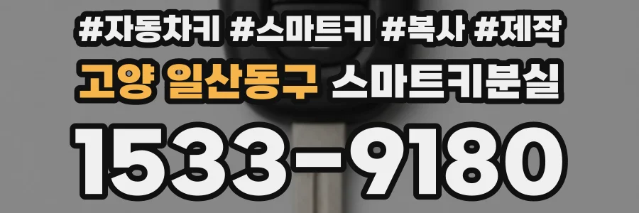 고양 일산동구 스마트키분실