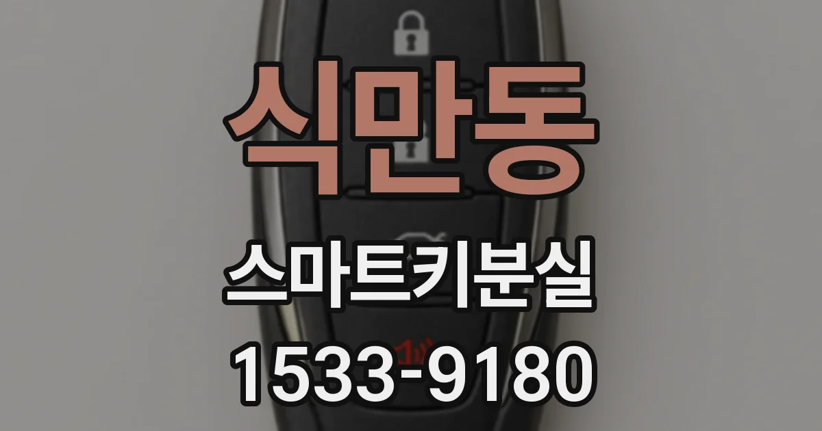 식만동 스마트키분실