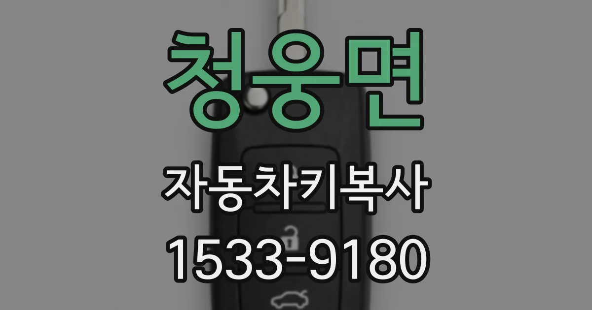 청웅면 자동차키복사