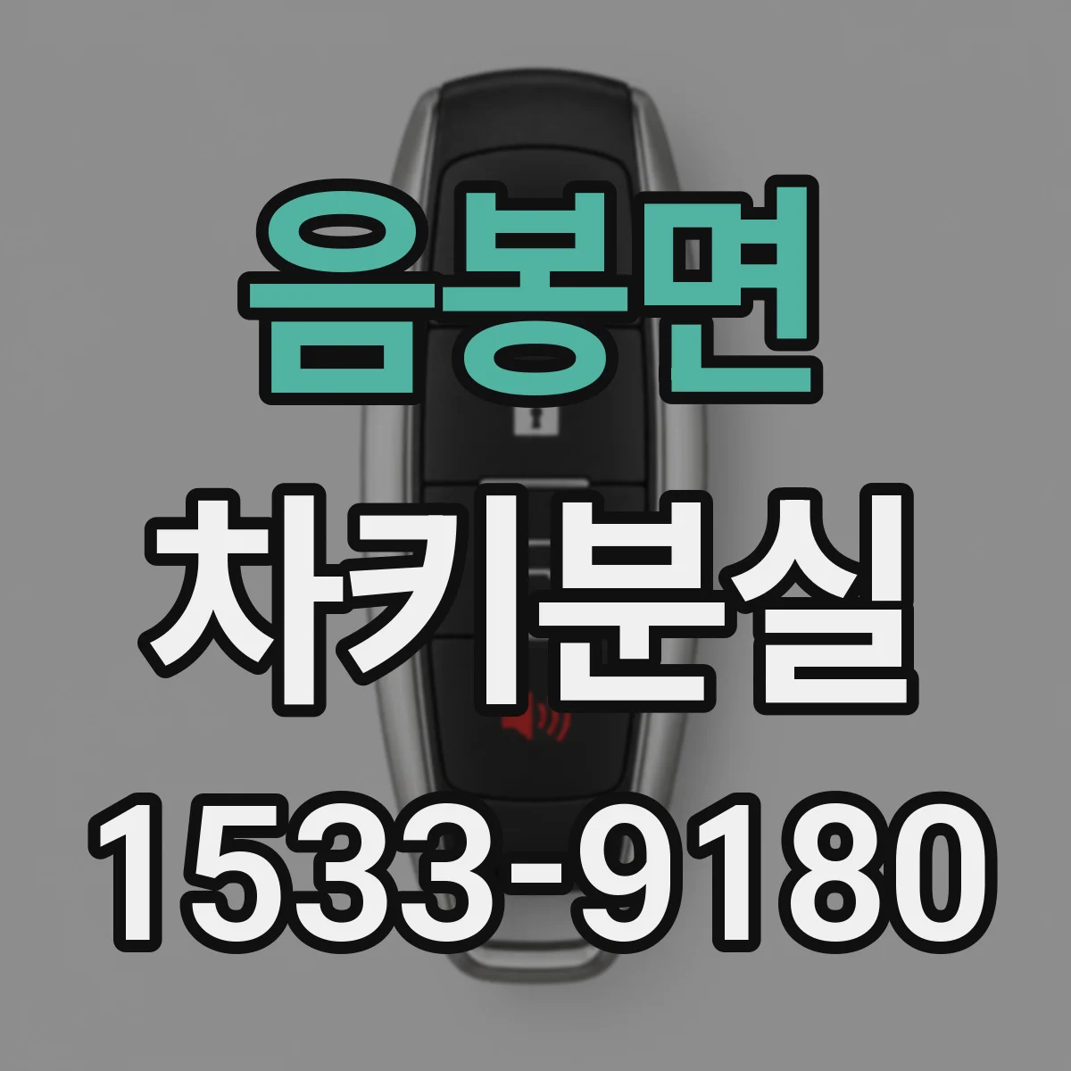 음봉면 차키분실