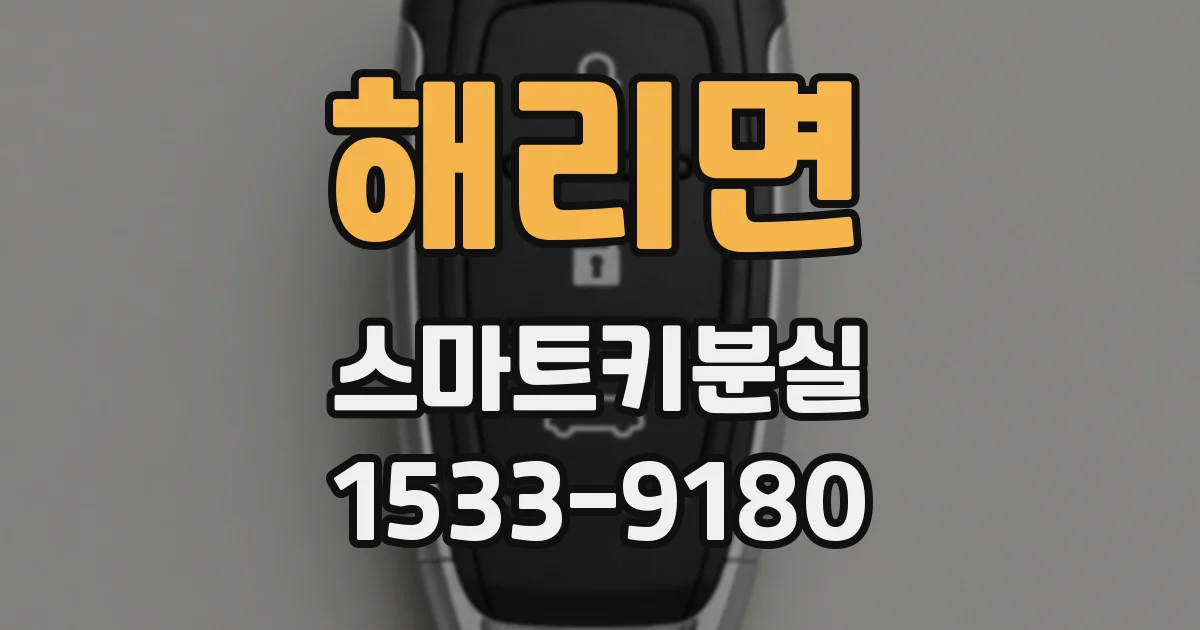 해리면 스마트키분실