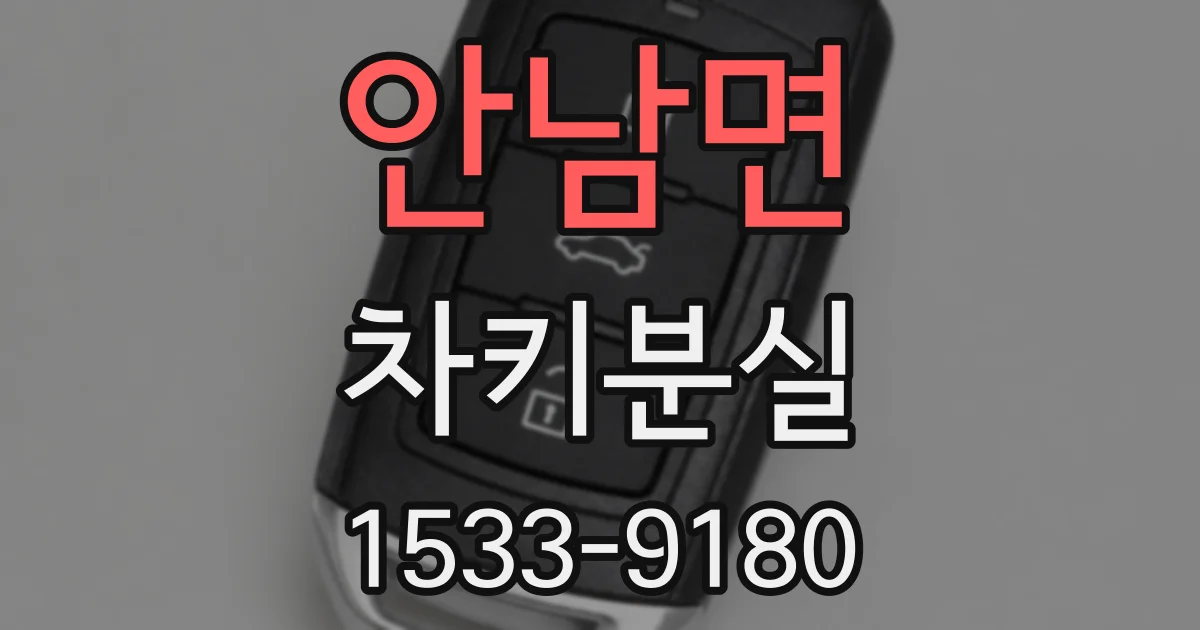안남면 차키분실