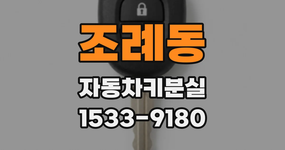 조례동 자동차키분실