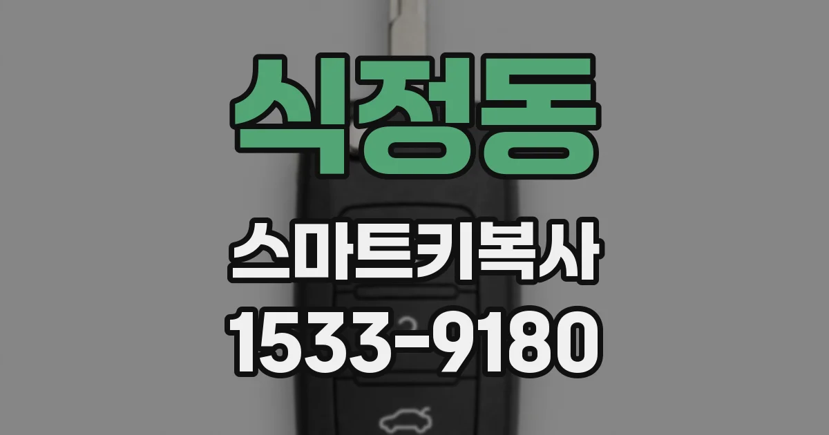 식정동 스마트키복사