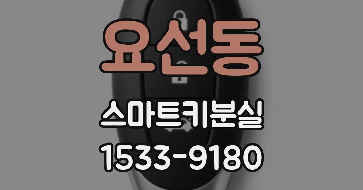 요선동 스마트키분실