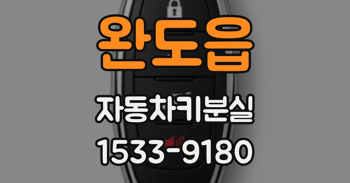 완도읍 자동차키분실