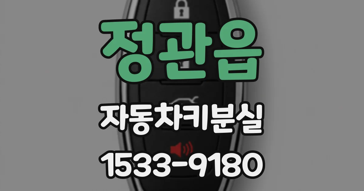 정관읍 자동차키분실