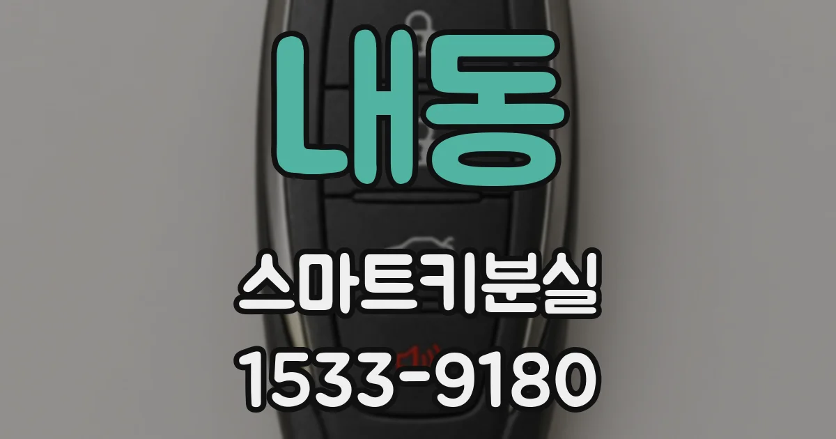 내동 스마트키분실