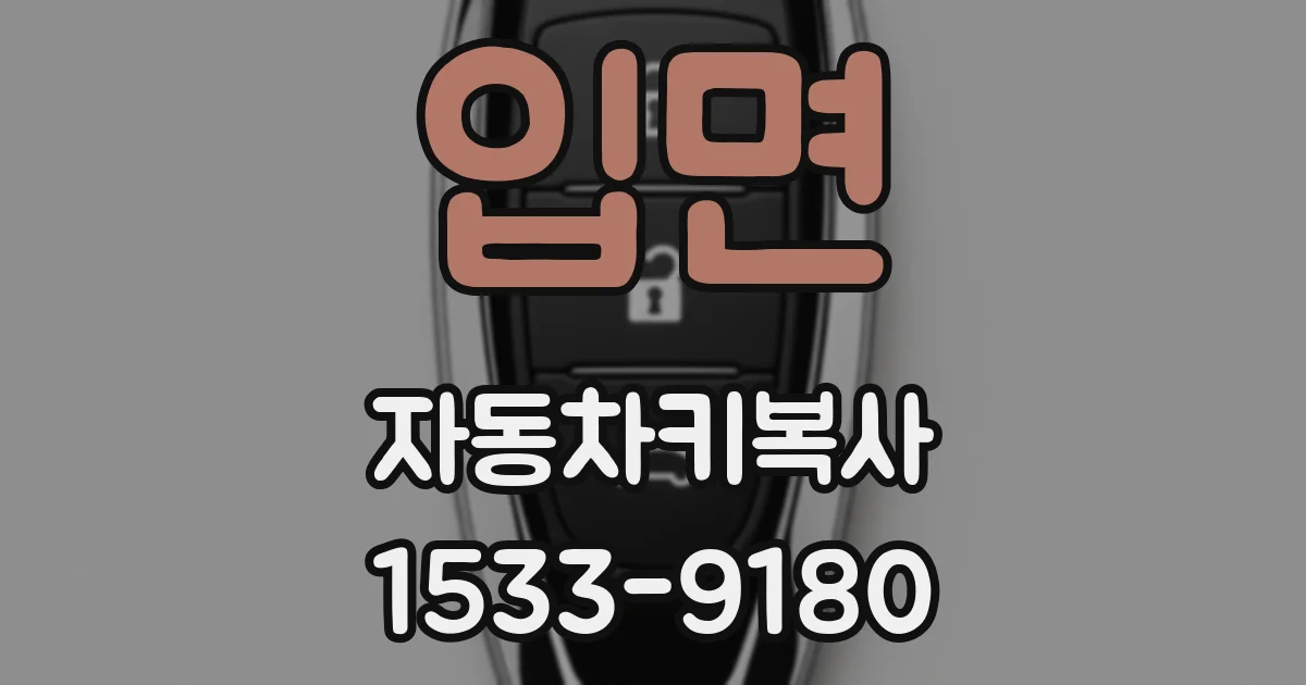 입면 자동차키복사