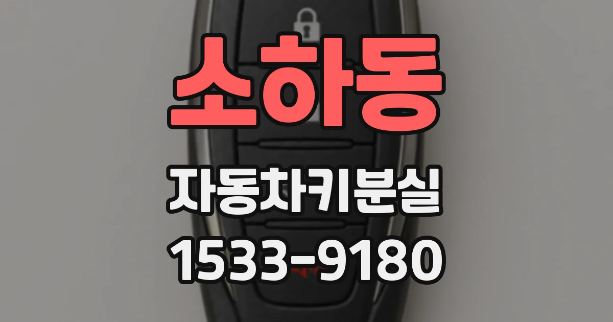 소하동 자동차키분실
