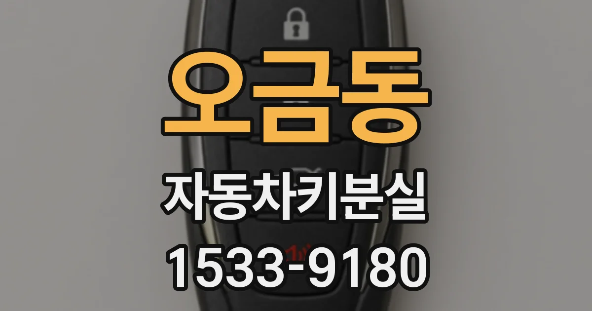 오금동 자동차키분실