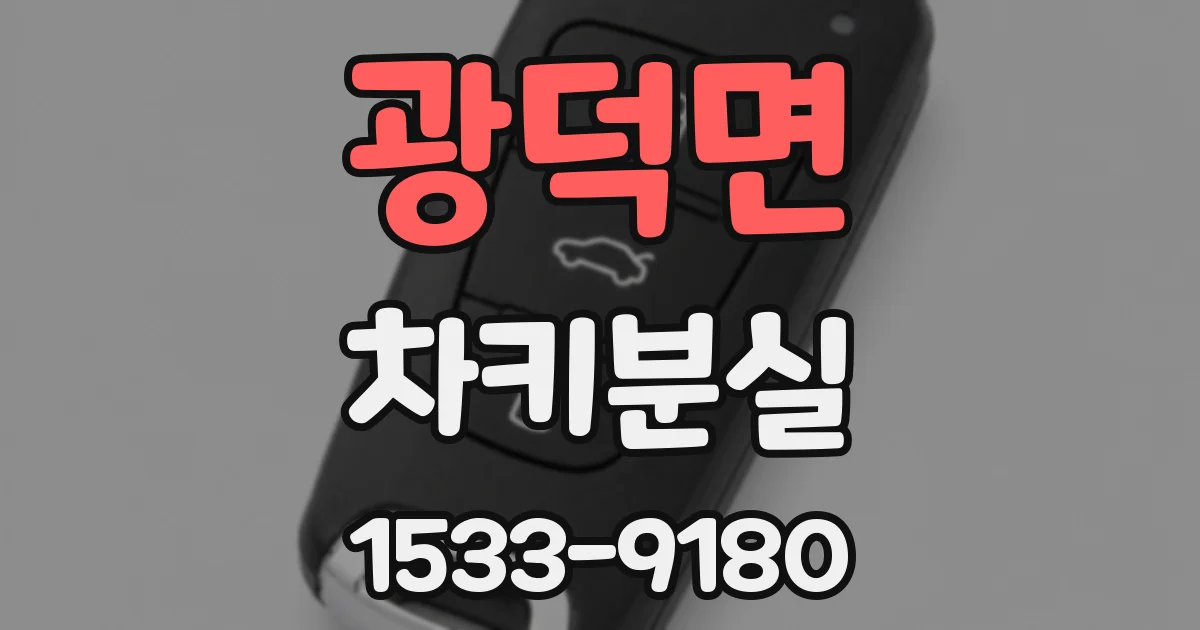 광덕면 차키분실