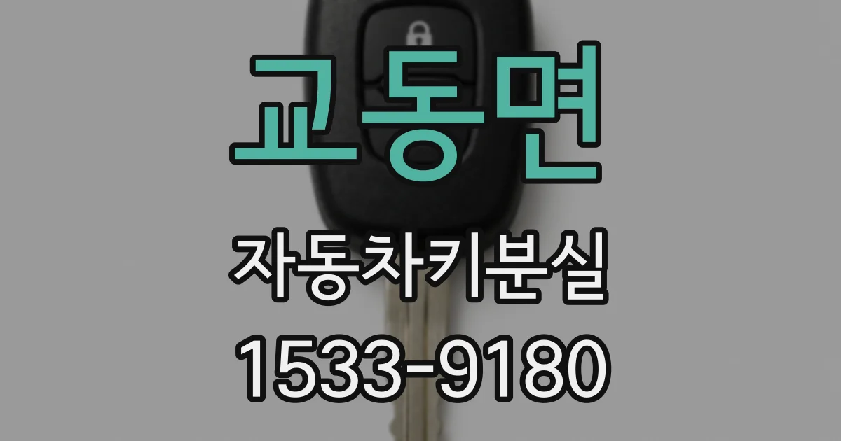 교동면 자동차키분실