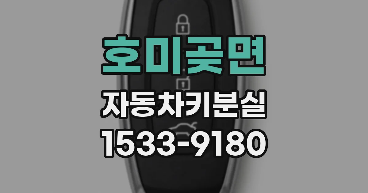 호미곶면 자동차키분실