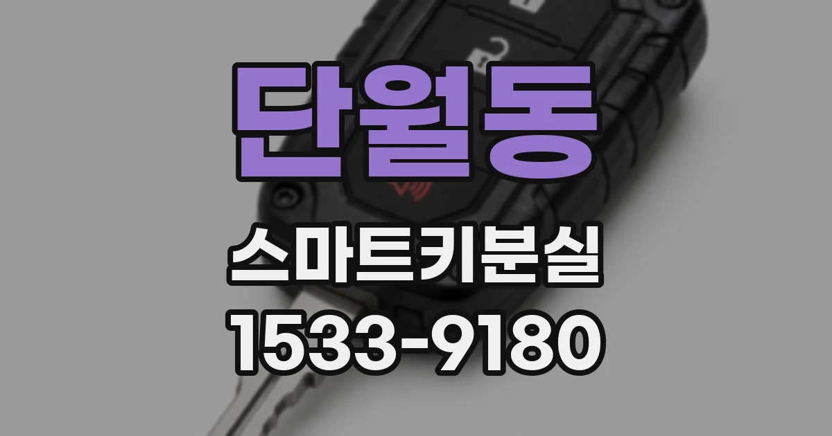단월동 스마트키분실