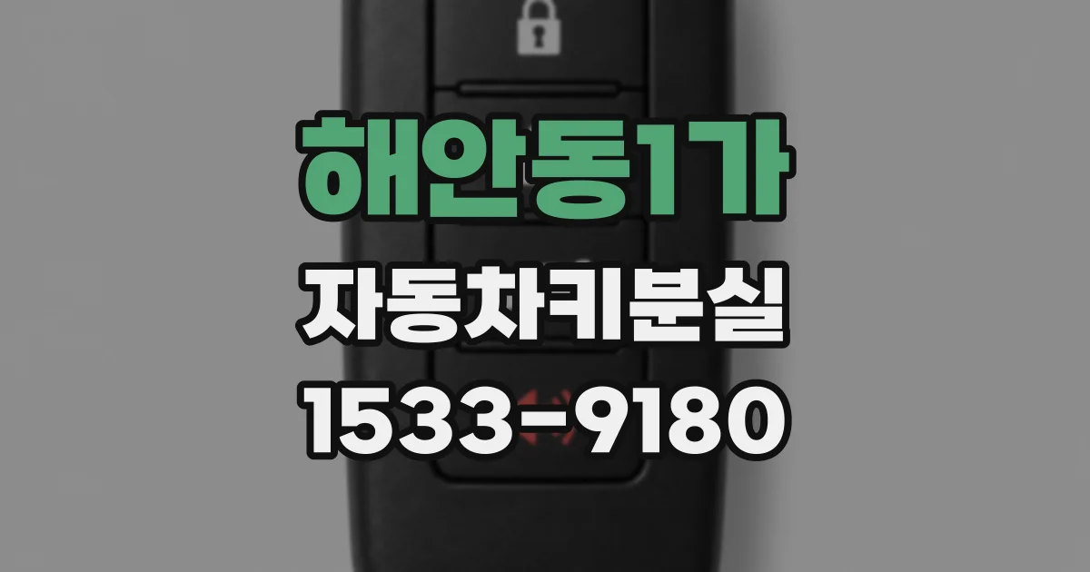 해안동1가 자동차키분실