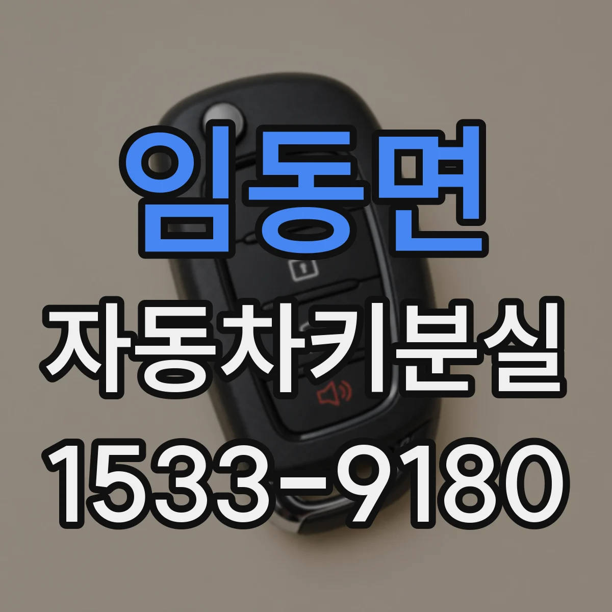 임동면 자동차키분실