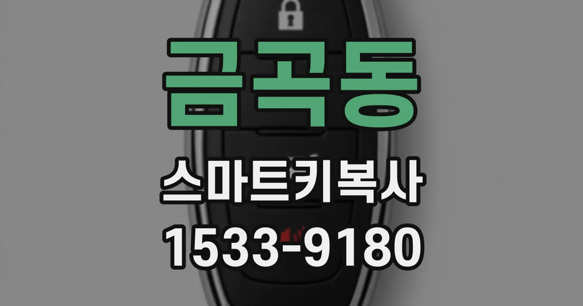 금곡동 스마트키복사