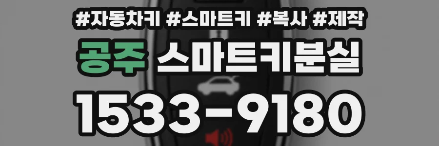 공주 스마트키분실