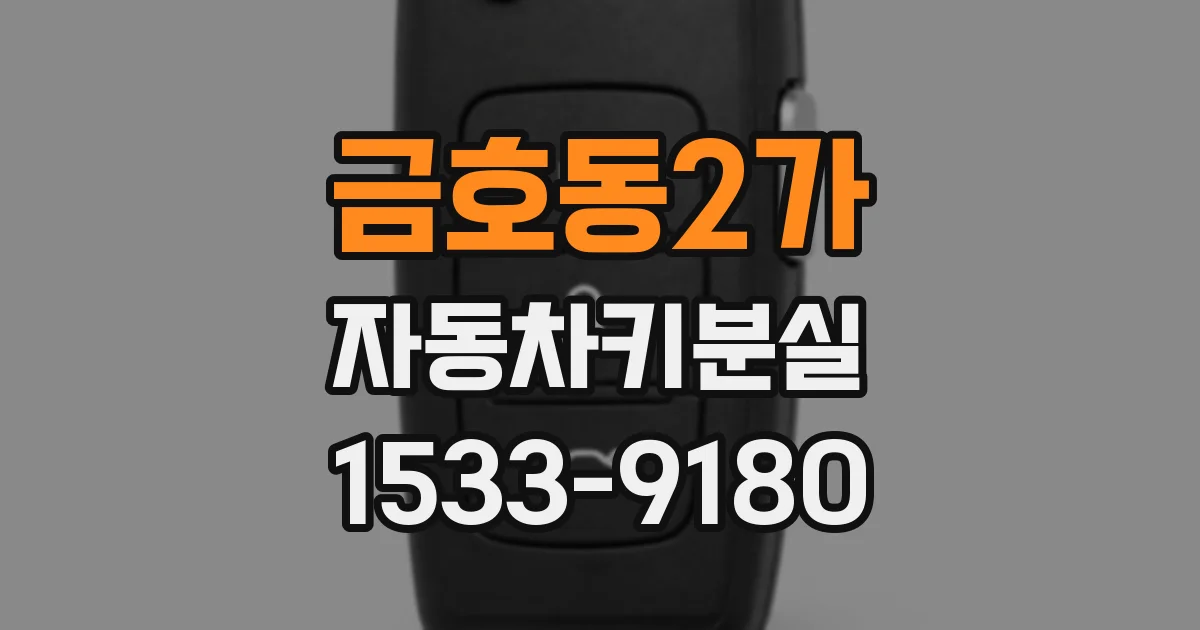금호동2가 자동차키분실
