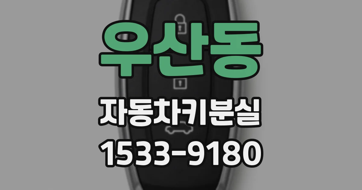우산동 자동차키분실