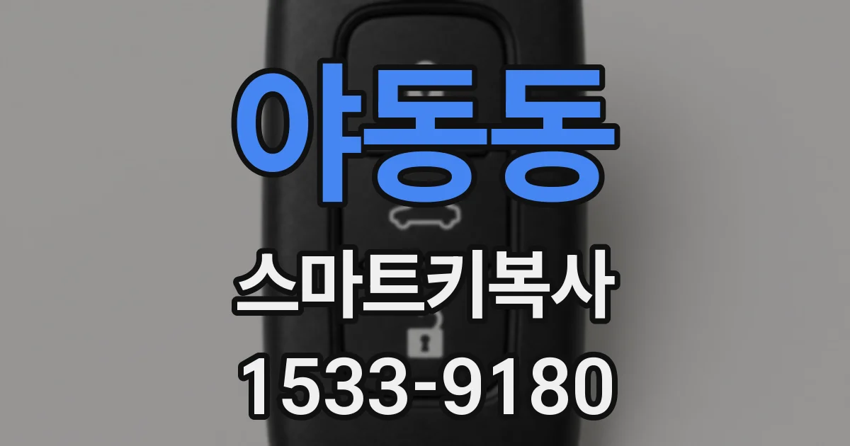 야동동 스마트키복사
