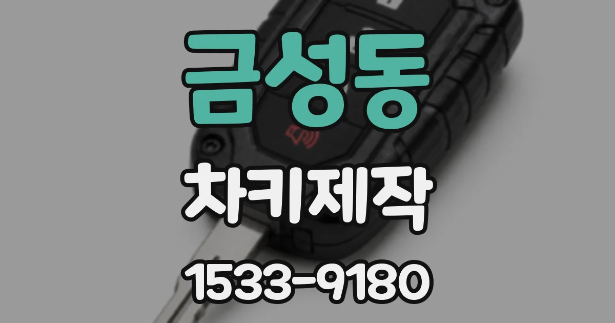 금성동 차키제작