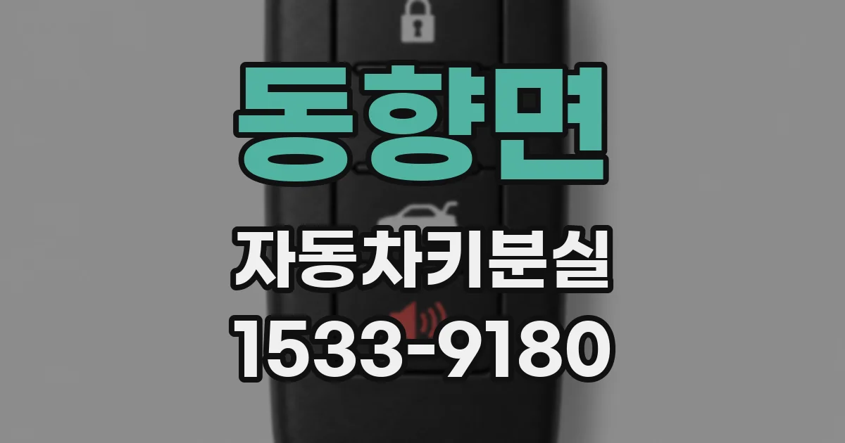 동향면 자동차키분실