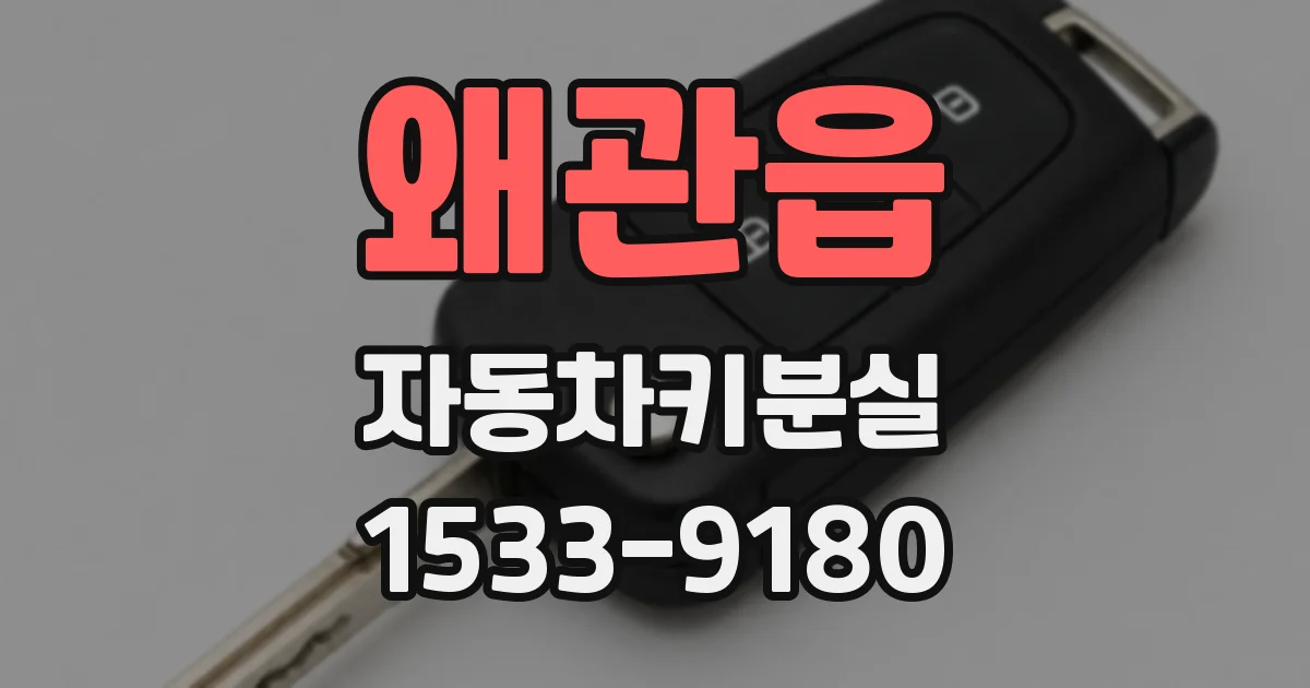 왜관읍 자동차키분실