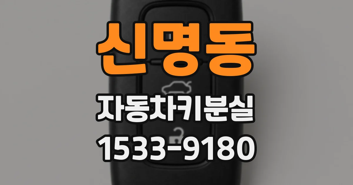 신명동 자동차키분실