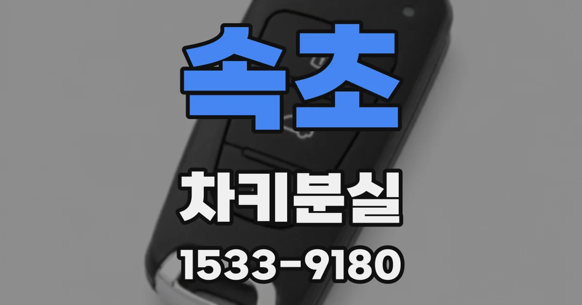 속초 차키분실