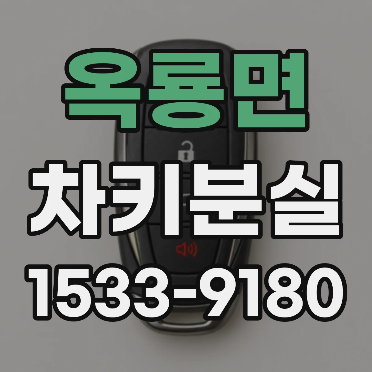 옥룡면 차키분실