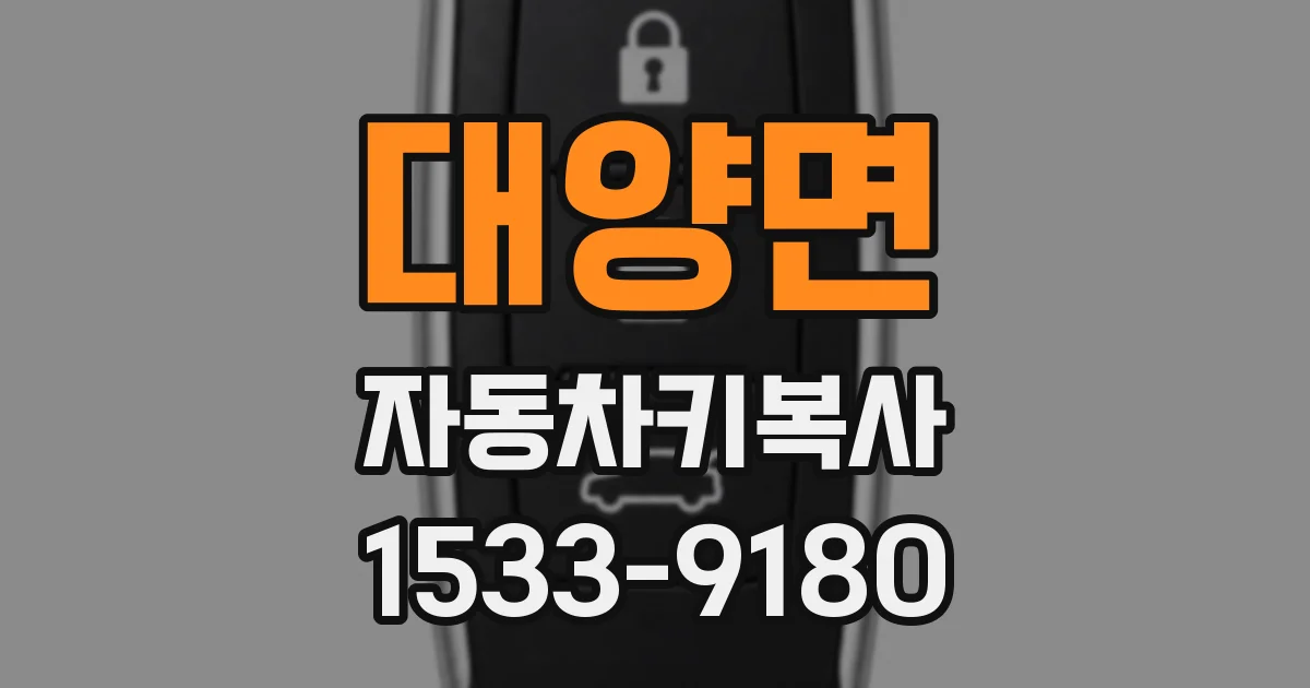 대양면 자동차키복사