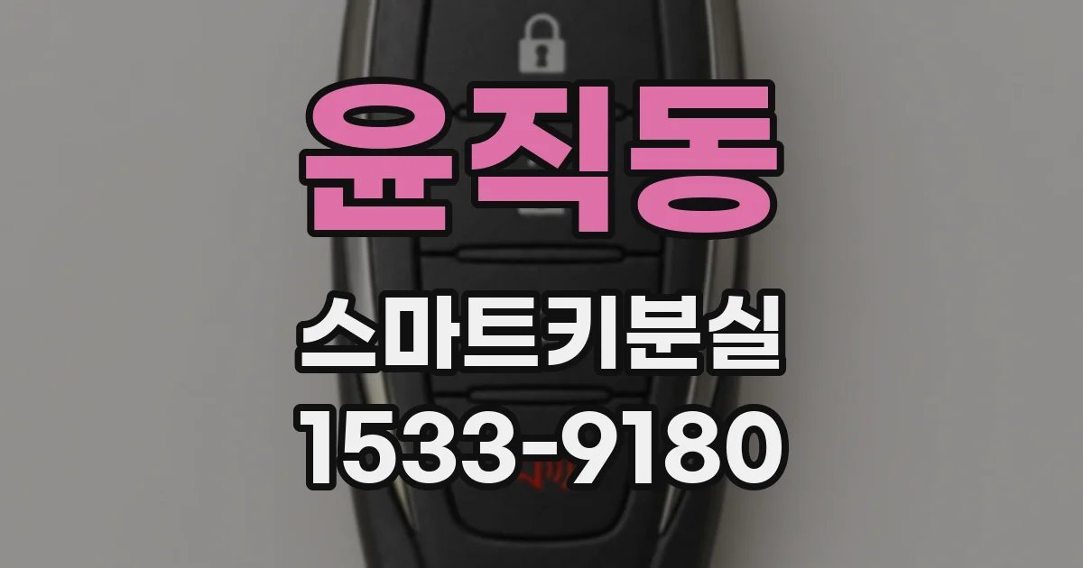 윤직동 스마트키분실
