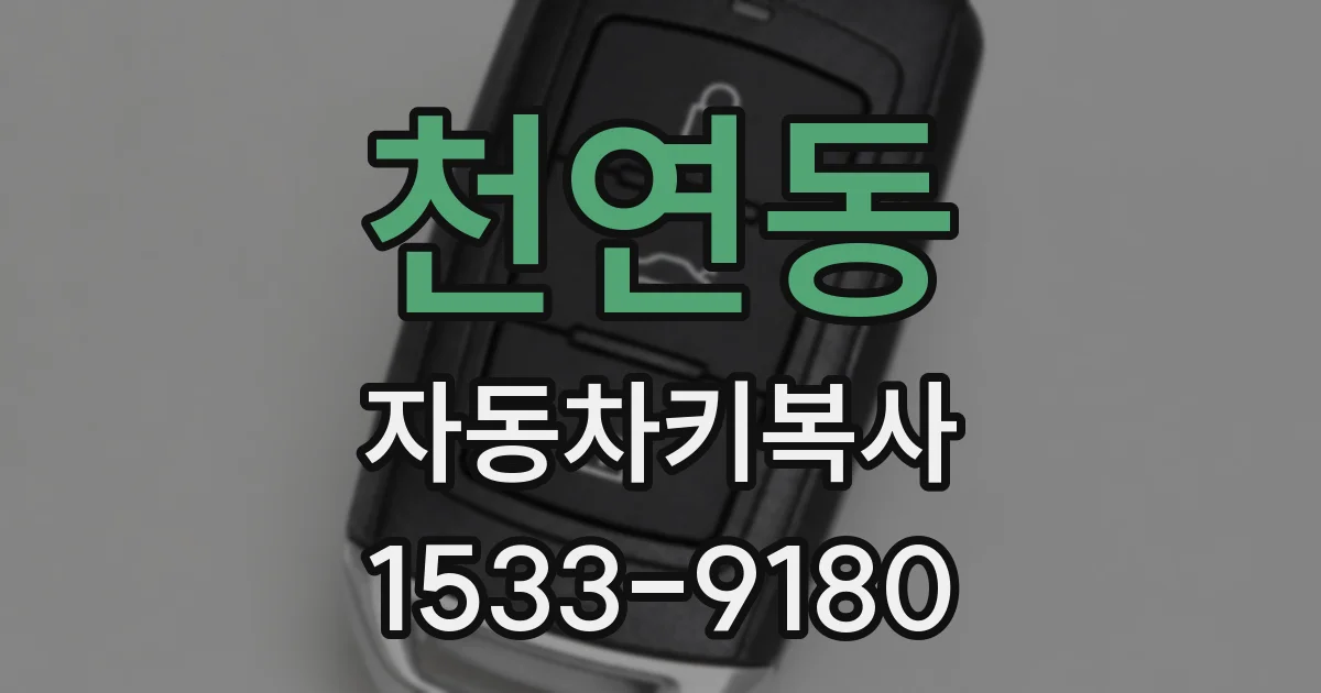 천연동 자동차키복사