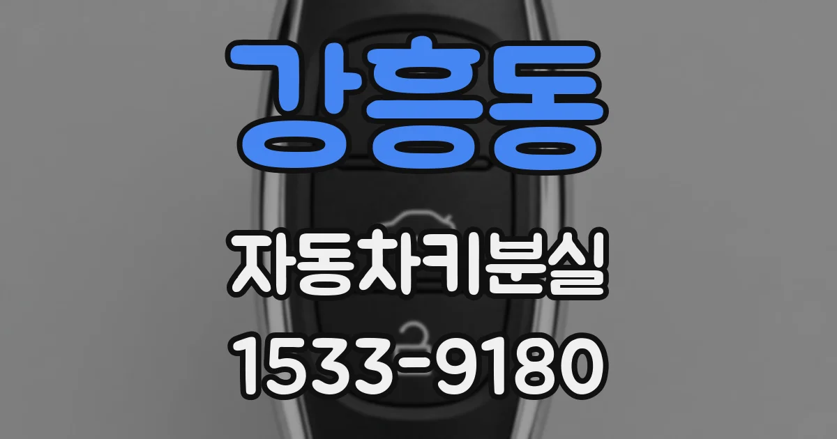 강흥동 자동차키분실