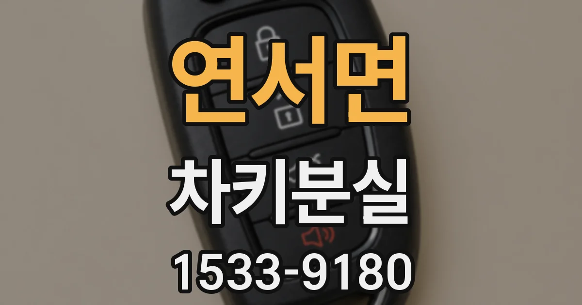 연서면 차키분실