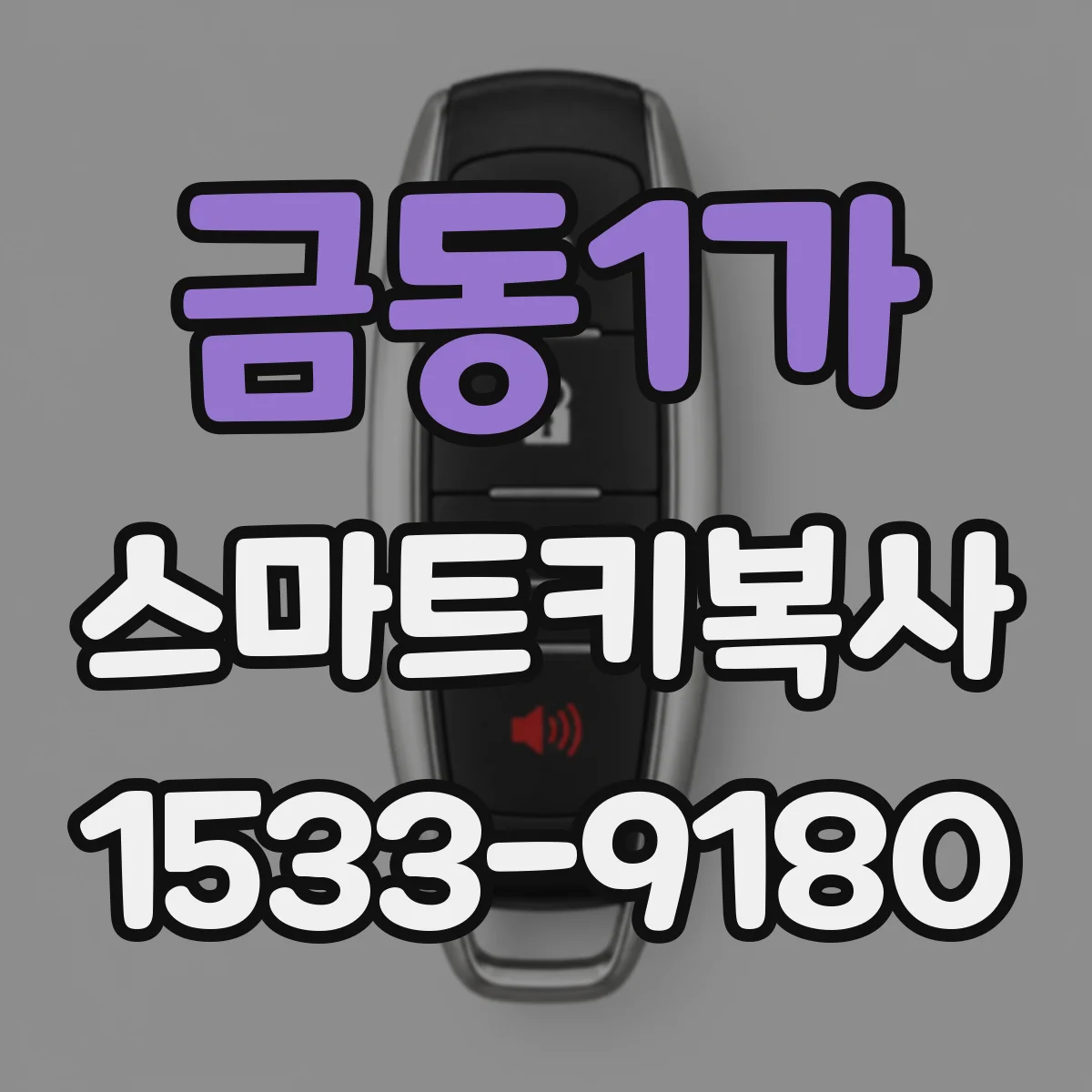 금동1가 스마트키복사