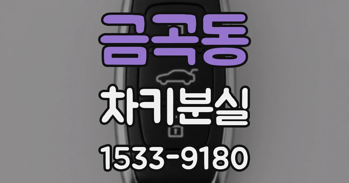 금곡동 차키분실